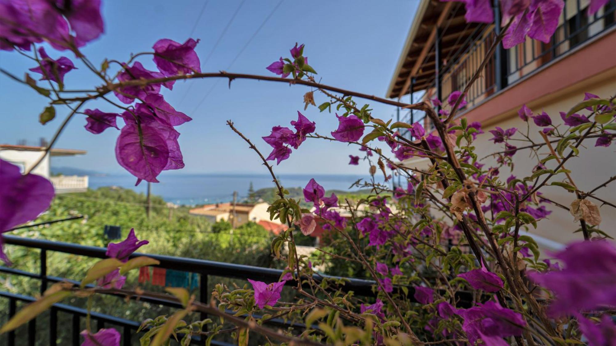 Studios Ristas 2 Parga Exterior photo